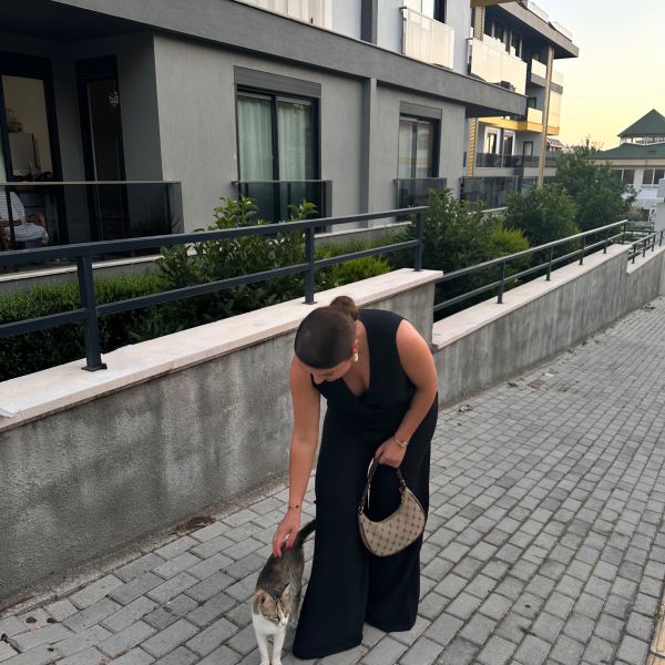 Kattenoppas Sule uit Alblasserdam