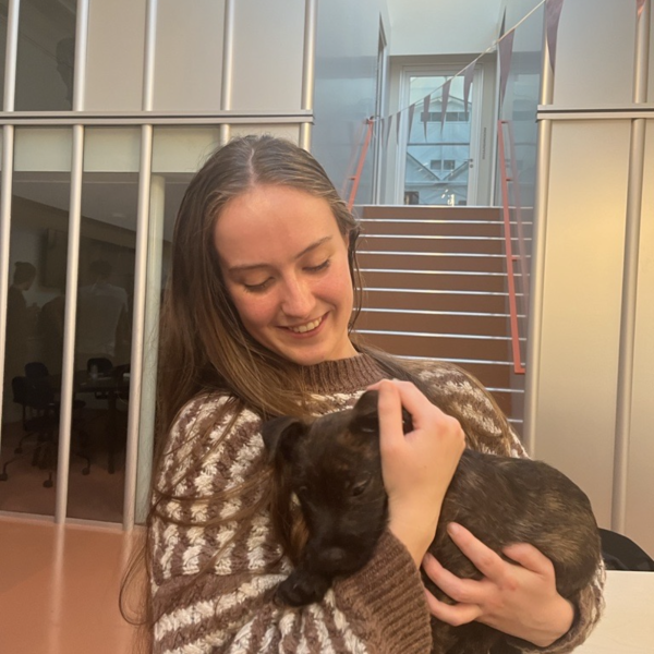 Huisdierenoppas Bo uit Hilversum