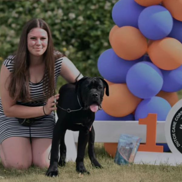 Huisdierenoppas Kayleigh uit Tiel