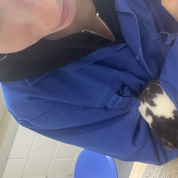 Huisdierenoppas Amy uit Doorwerth