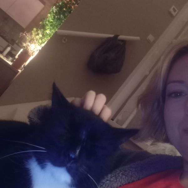 Dupke uit Maastricht zoekt een Kattenoppas
