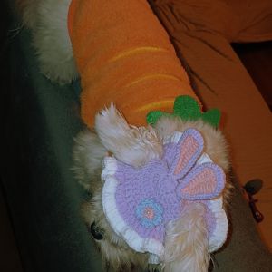 Image description