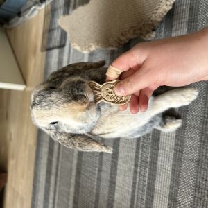 Image description