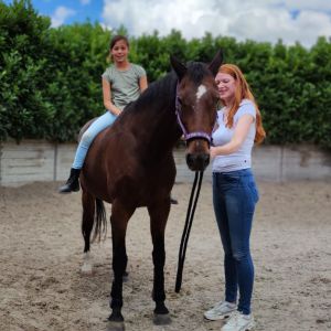 Image description