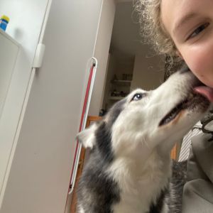 Image description